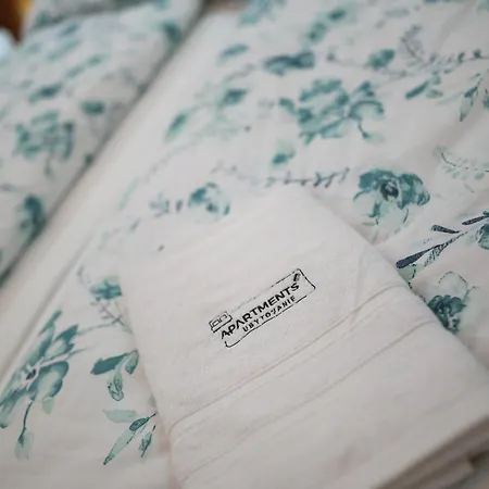 Antonio מלון דירות Spišské Tomášovce